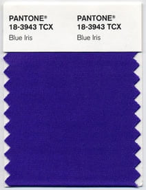PANTONE 18-3943 Blue Iris